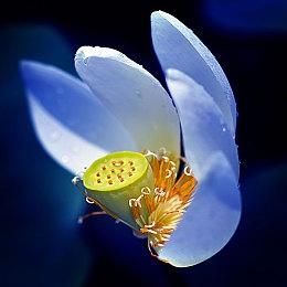 开放世界ARPG《污痕圣杯：阿瓦隆的陨落》5月24日多平台发售